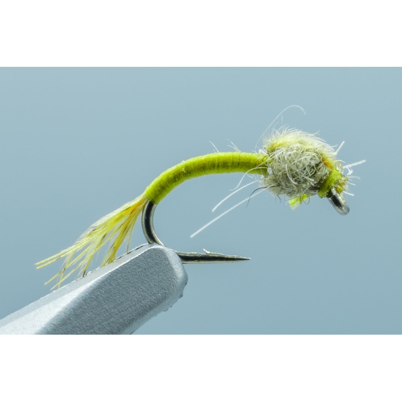 WD 40 Olive #18