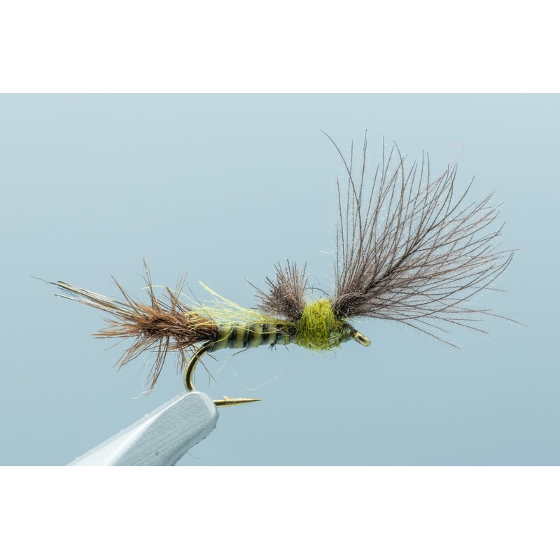 Burkus’ Baetis Cripple #18