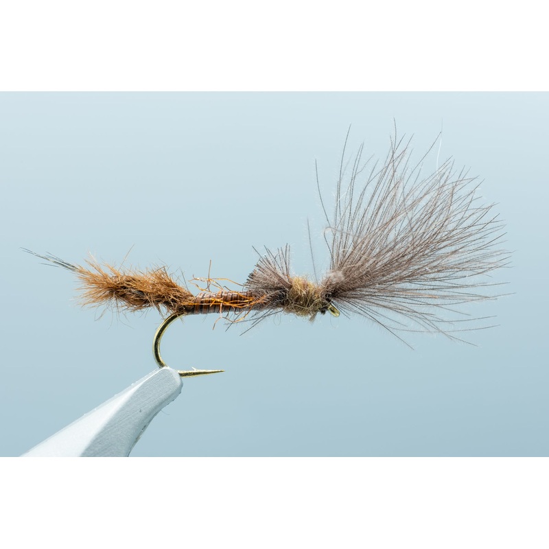 Burkus’ Mahogany Cripple #14