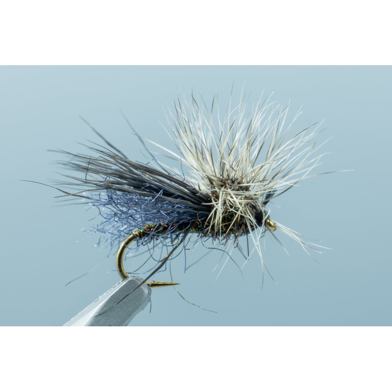 Hackle Stacker Caddis Peacock #16