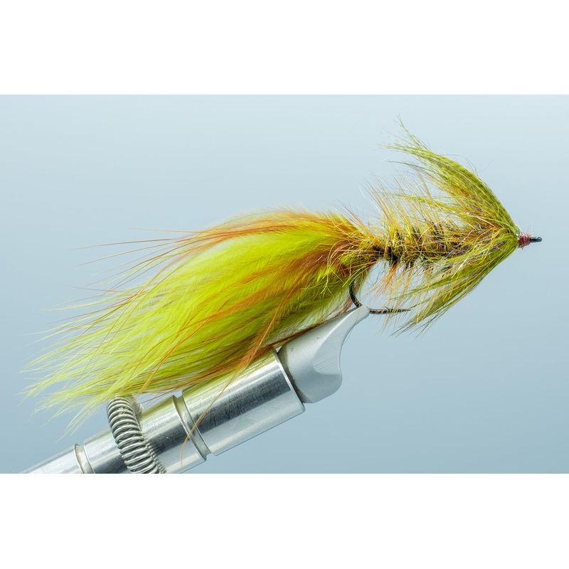 King Halo Bugger Olive #2