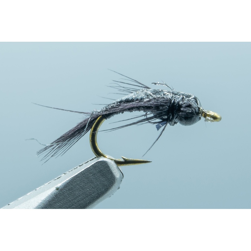 Lil Bit Craven Black #18