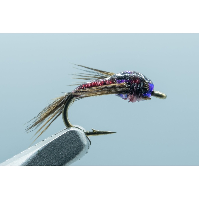 Lil Bit Craven Purple #18