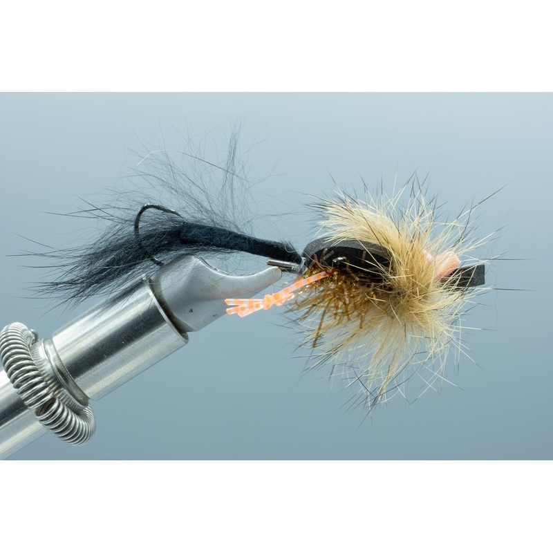 Pip Squeak #4
