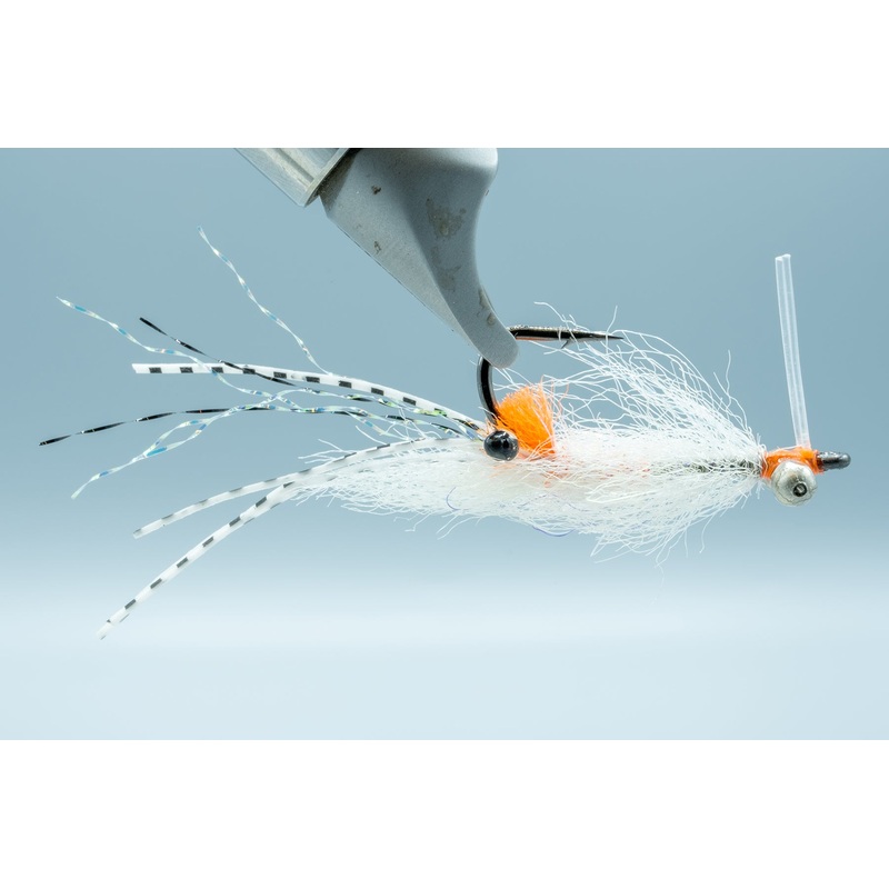 Spawning Shrimp Transparent BC