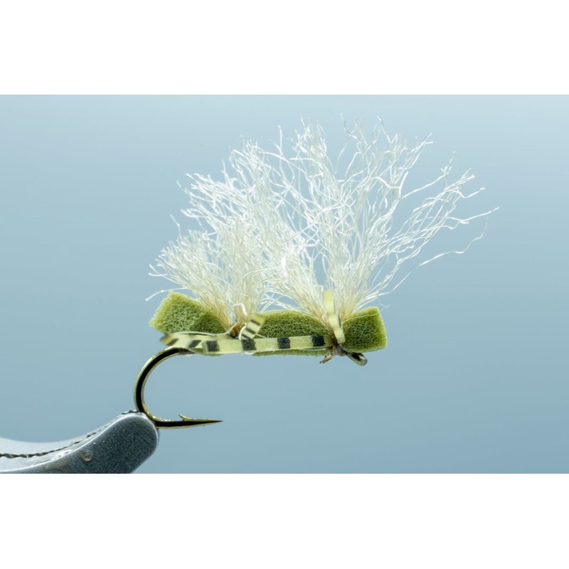 Big Boned Caddis Olive #16