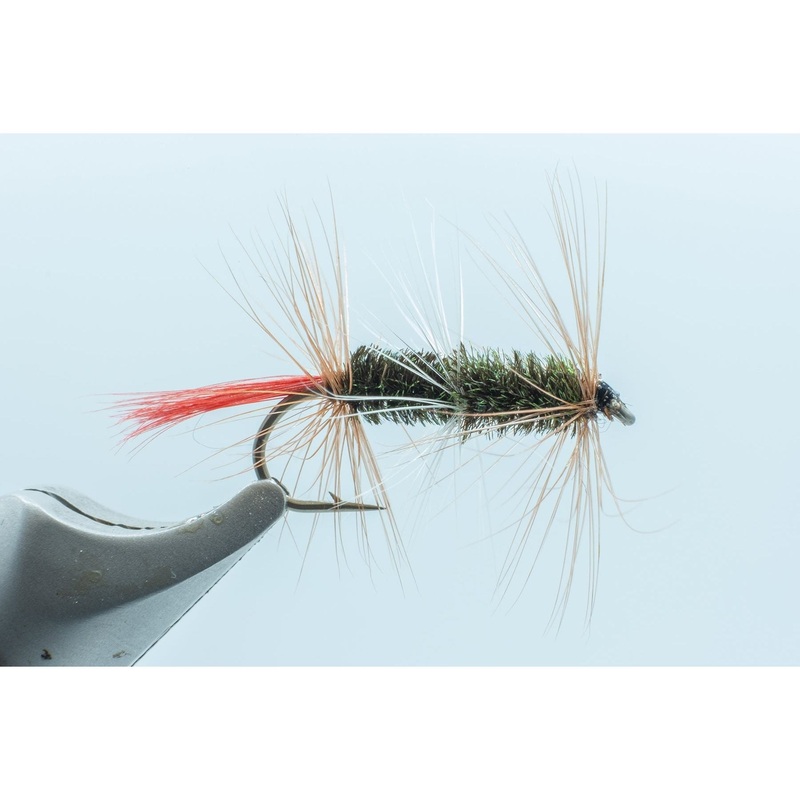 Double Renegade #10