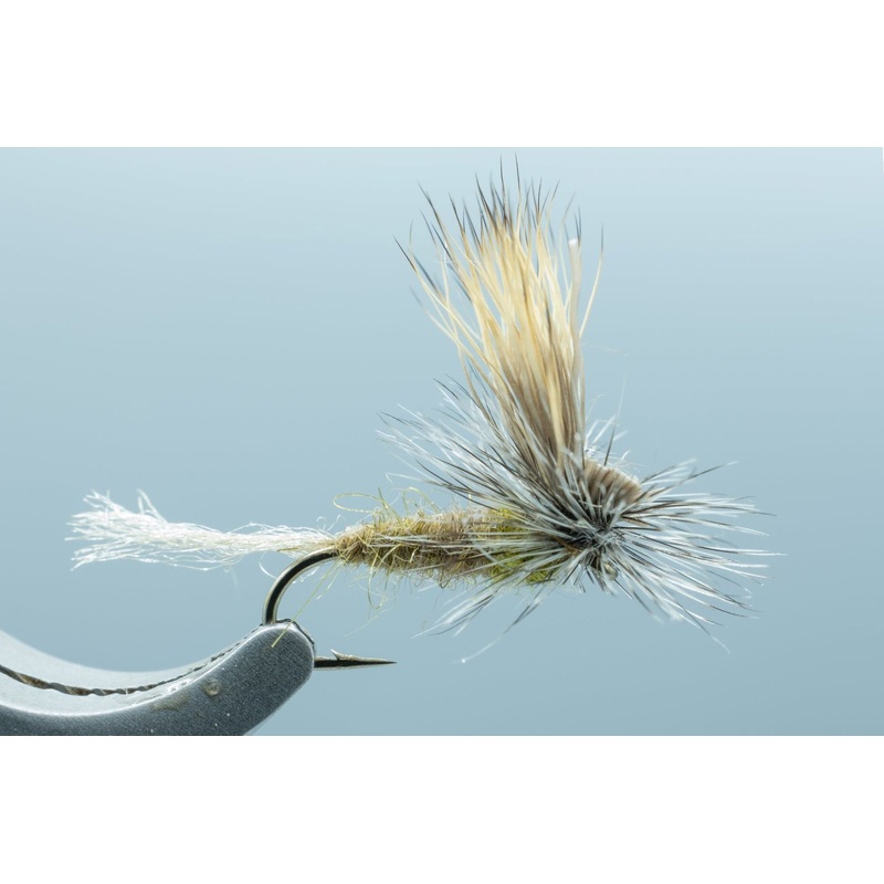 E/C Caddis Olive #16