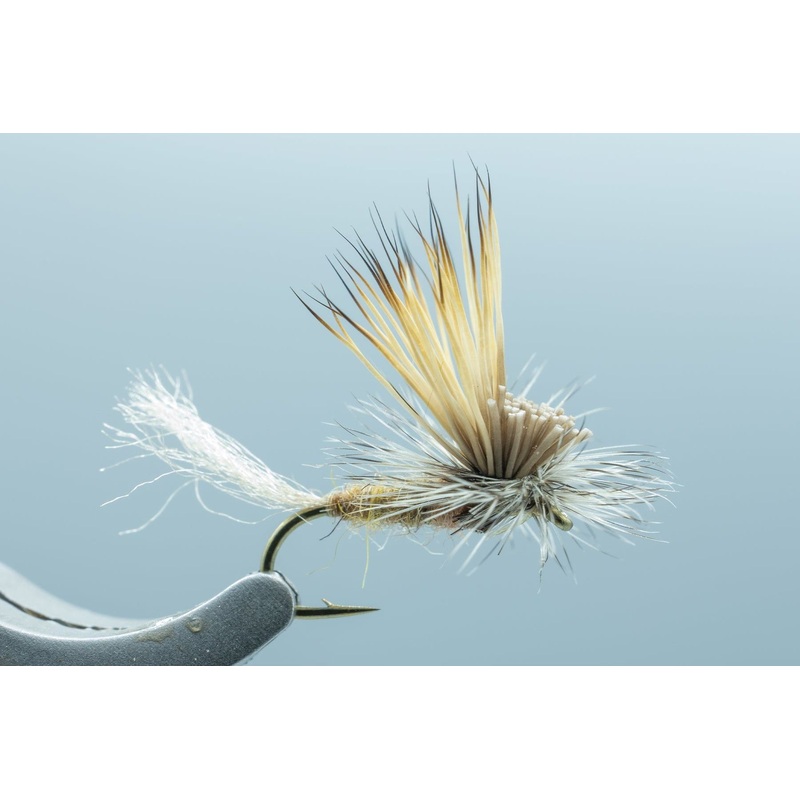 E/C Caddis Tan #16
