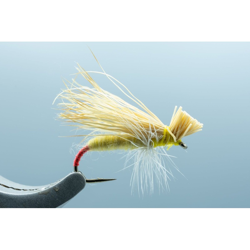Hairwing Yellow Sally #14