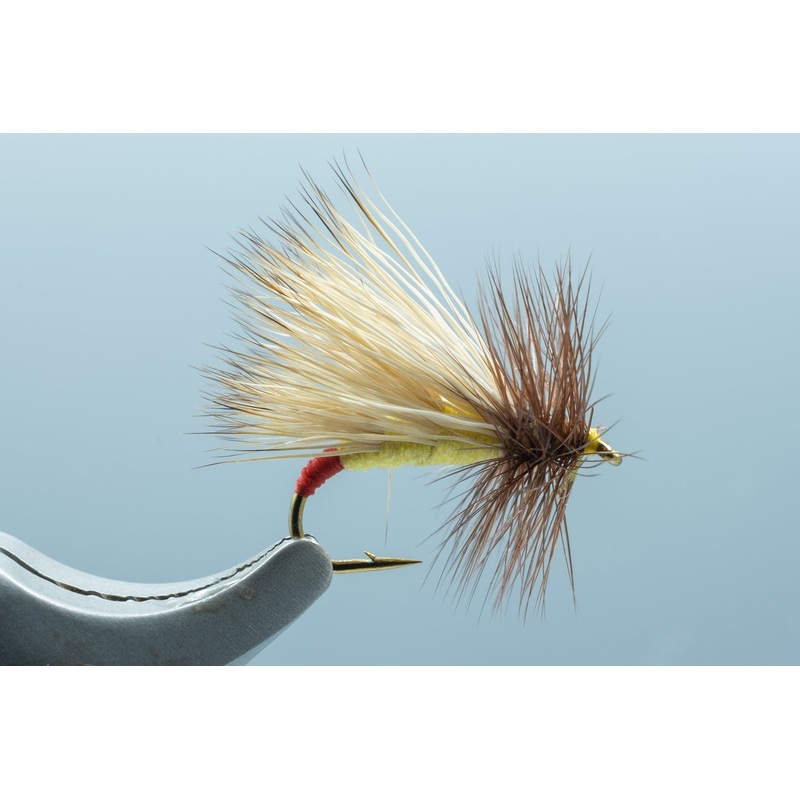 Hi-Tie Sally #14
