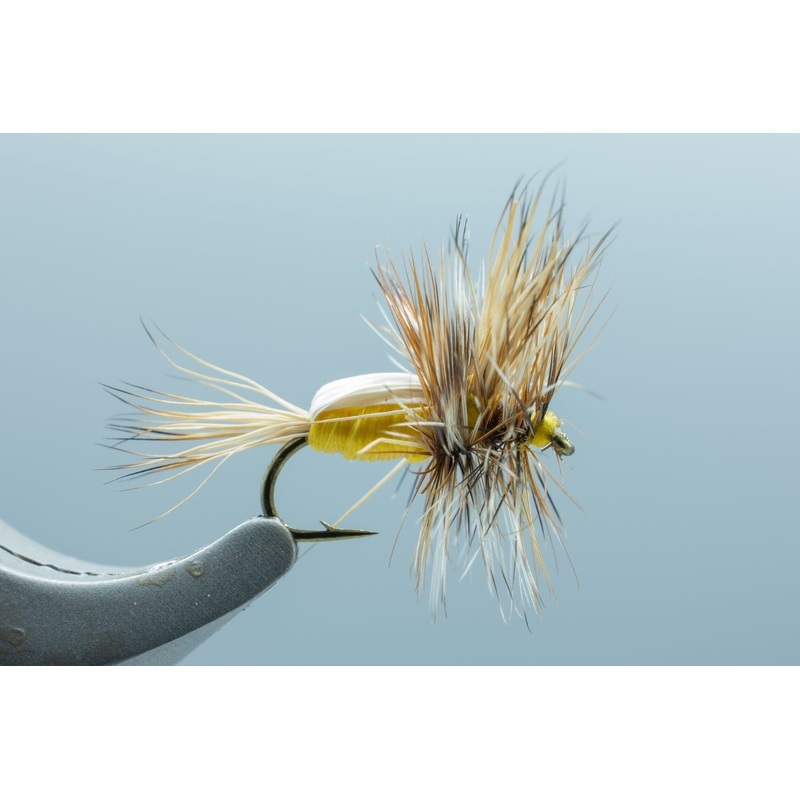 Humpy Yellow #16