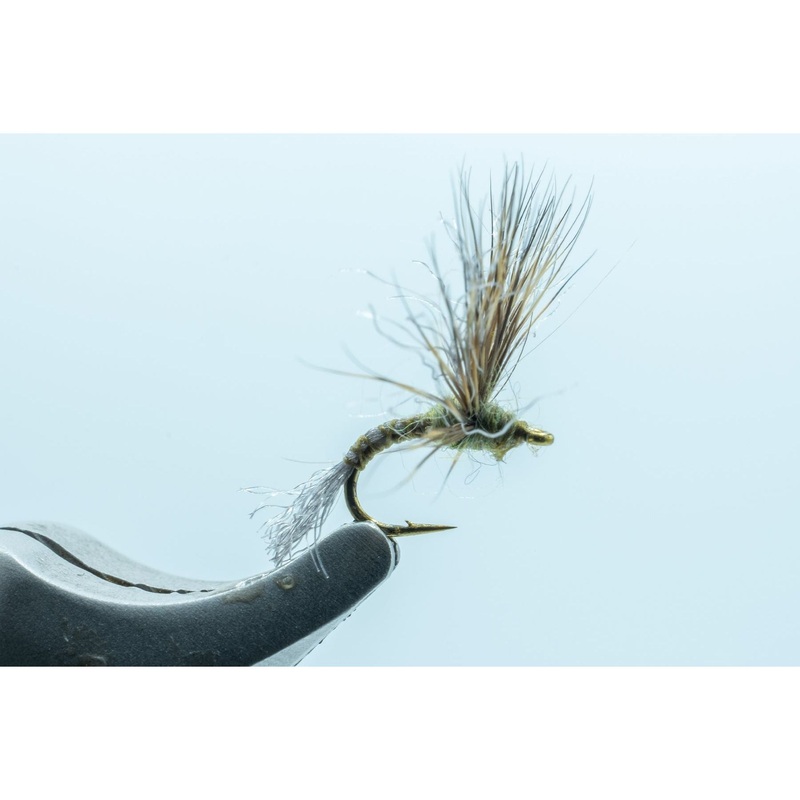 Improved Sparkle Dun Baetis #18