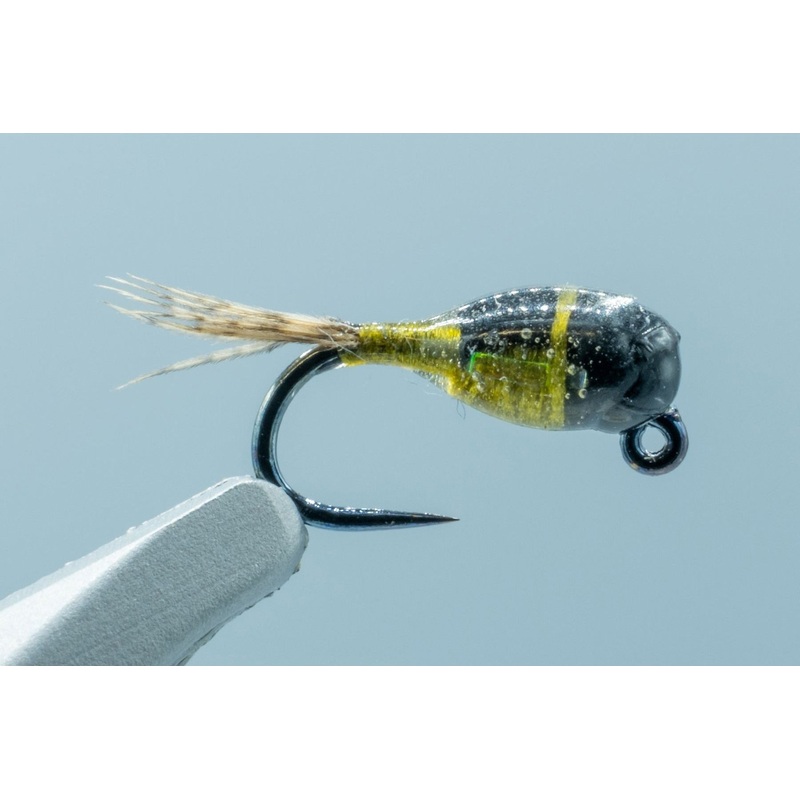 Jig Nation BWO #18