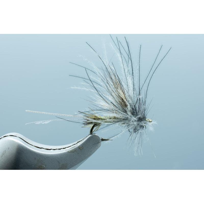 Johnson’s Mimic May BWO #18