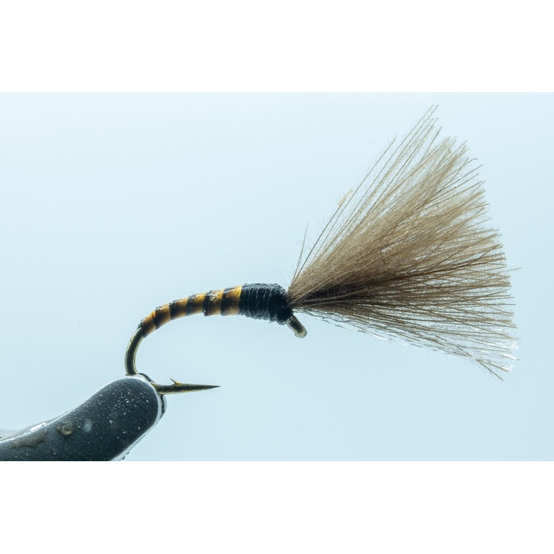 Mole Midge Ginger #18