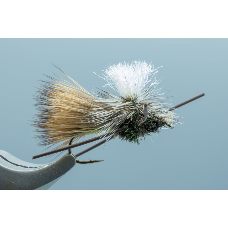 Parachute Madam X Olive #12