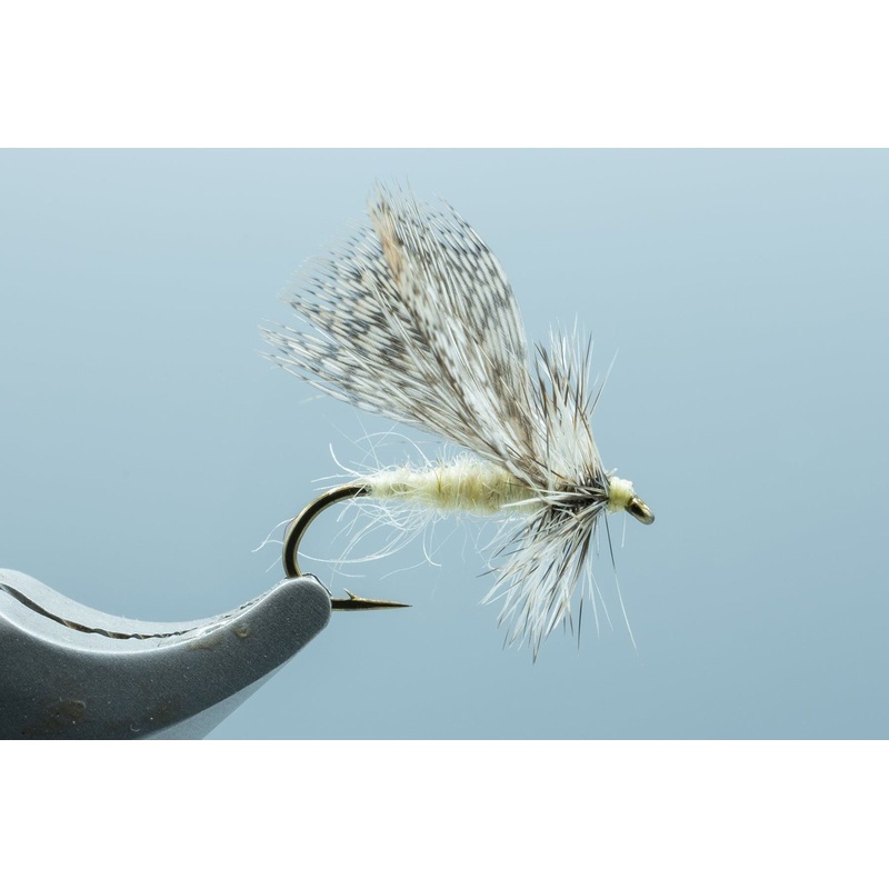 Spent Part Spruce Moth Cream #14