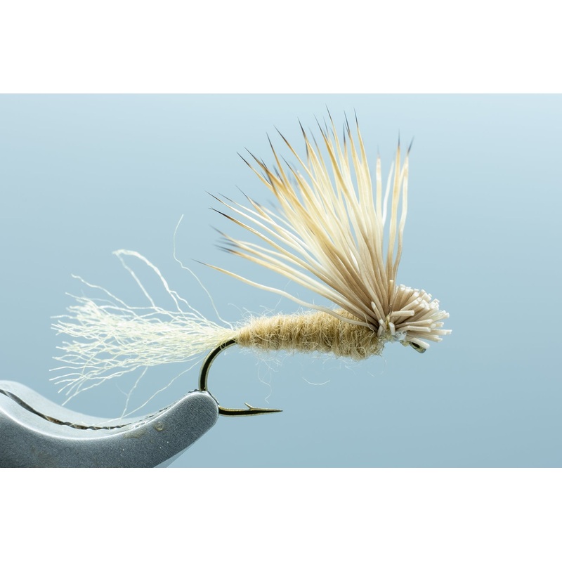 X-Caddis Tan