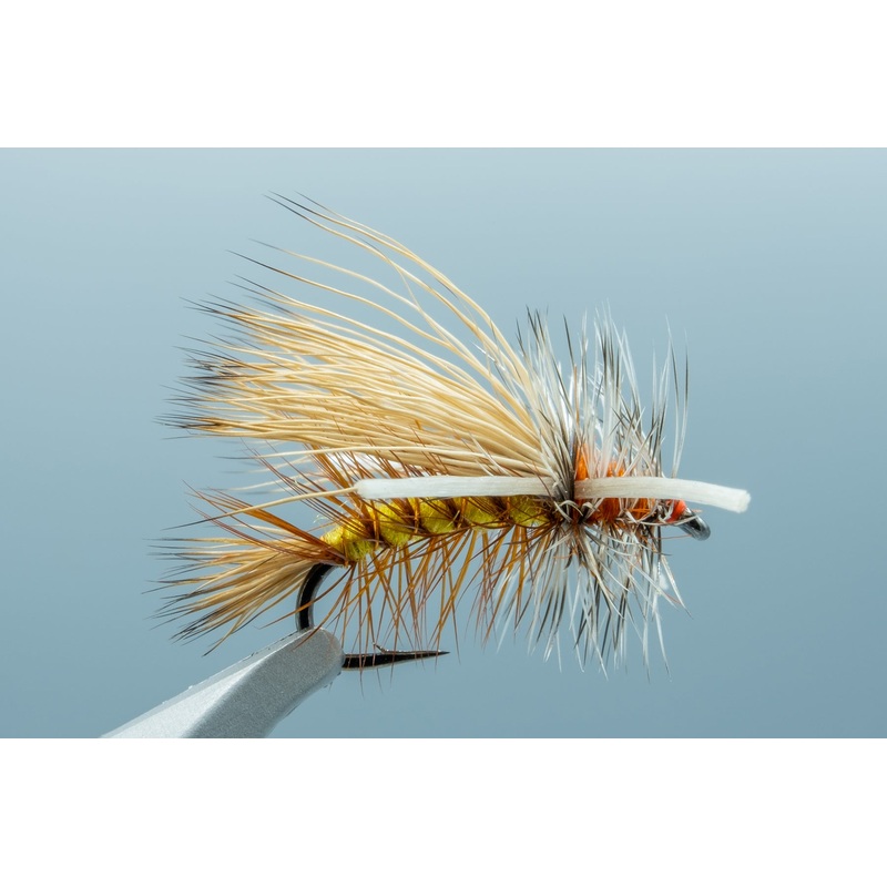 X-Stimulator Yellow #12