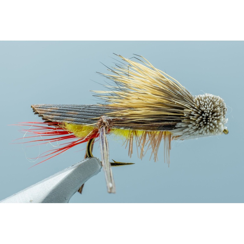 Dave’s Hopper #12