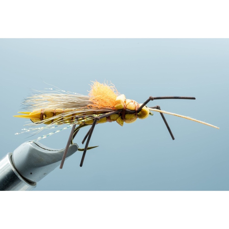 Fluttering Stone Morrish Golden #8