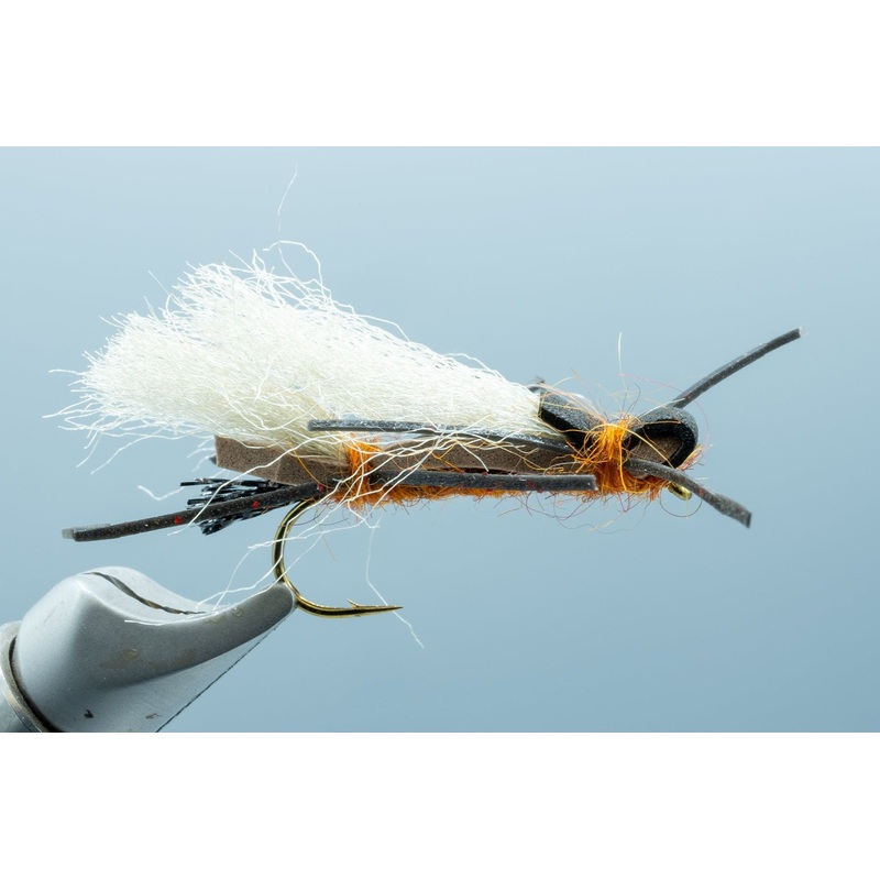 Henry’s Fork Salmonfly