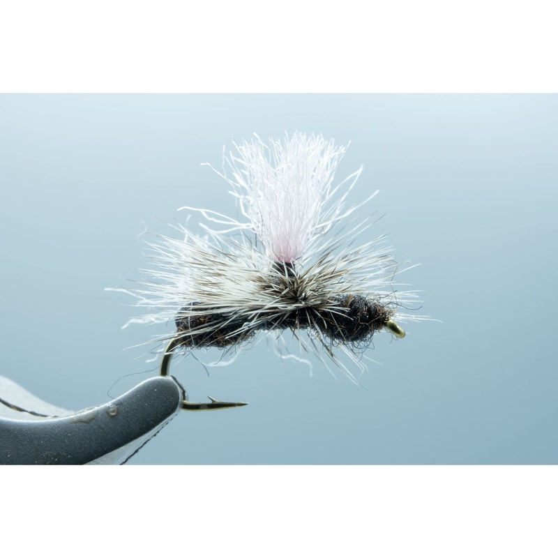 Parachute Flying Ant Black #14