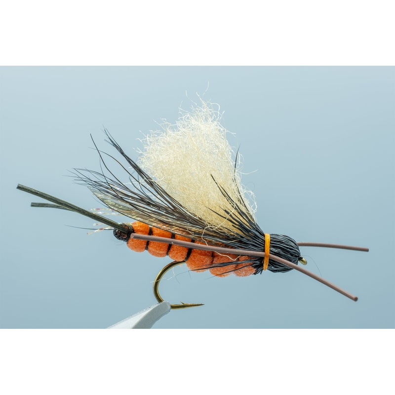 Reed’s Rogue Chubby Dark Salmonfly #6