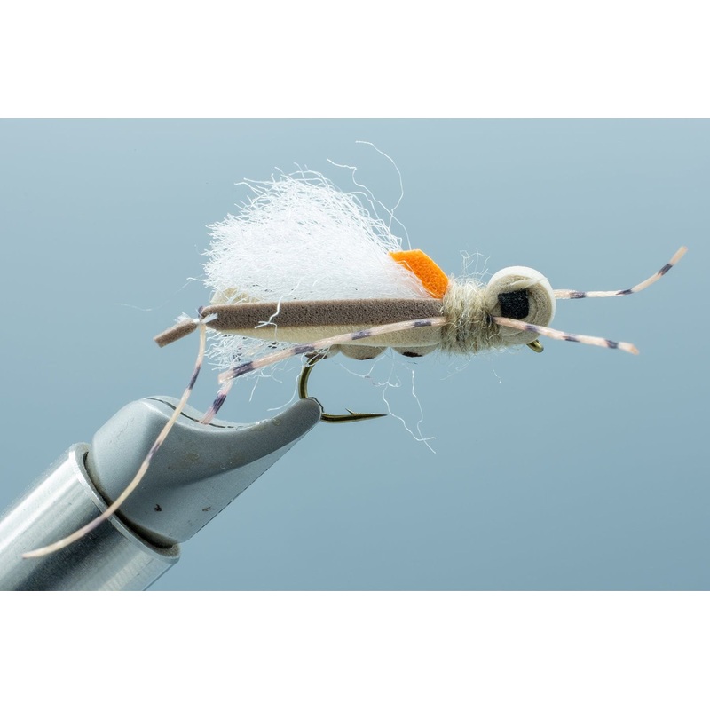 Thunder Thighs Hopper Tan