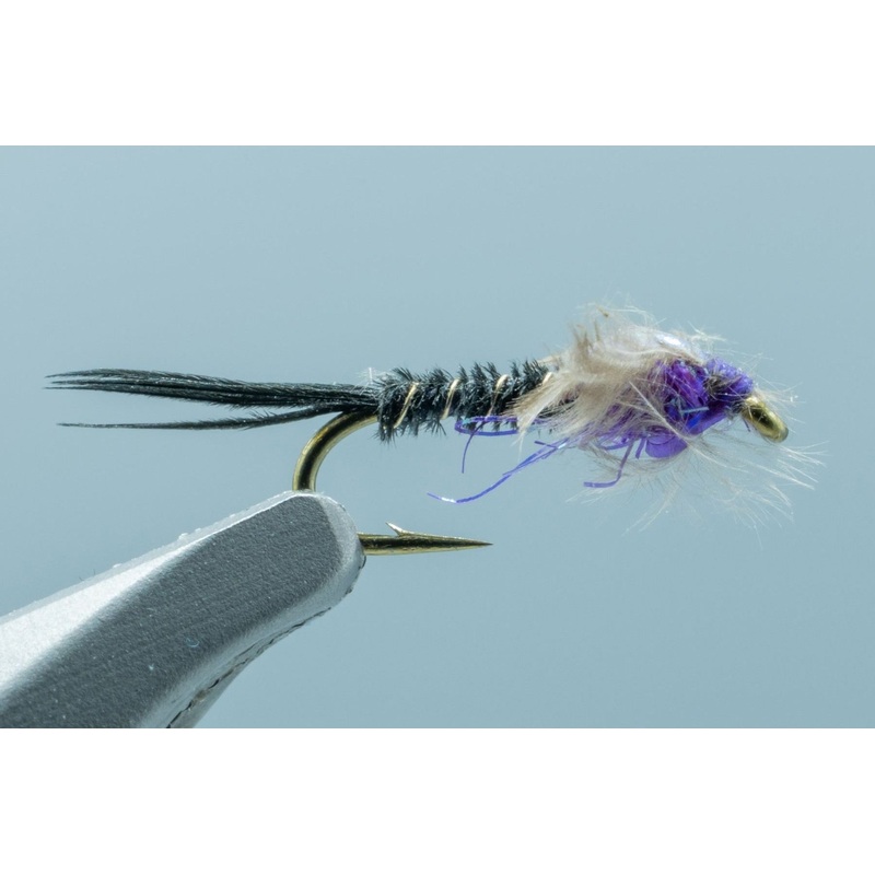 Macgruber Jackson Purple #18