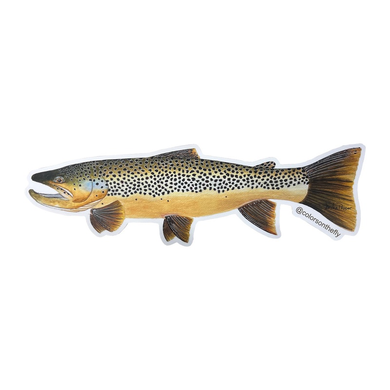 Mike Pepper “Colors on the Fly” 20″ Brown Trout Sticker