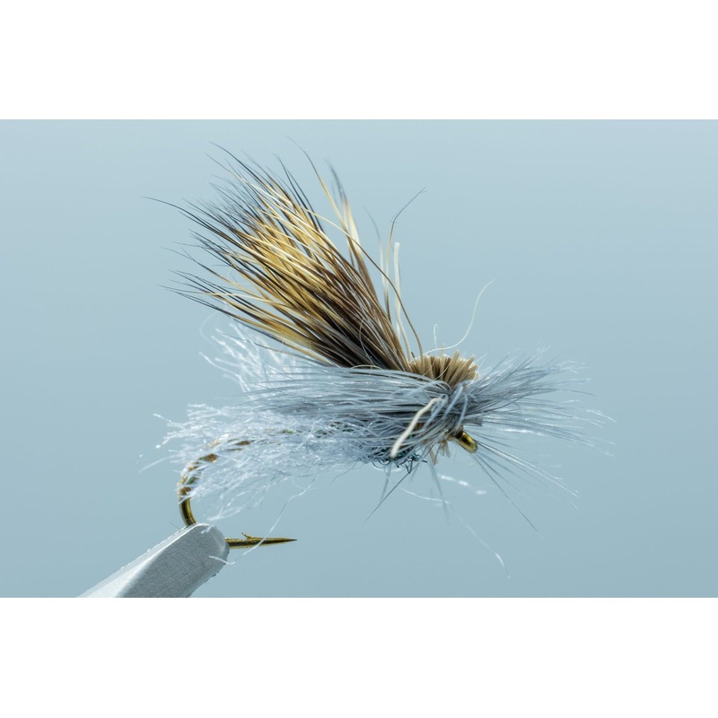 Missing Link Caddis