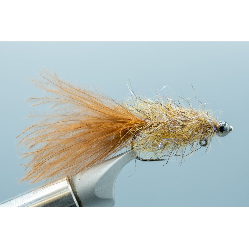 Pyramid Beach Leech Brown #8
