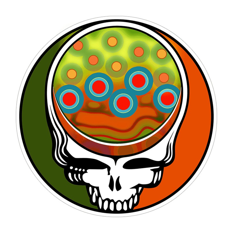 Steal Your Face Brook Trout 4″ – Grateful
