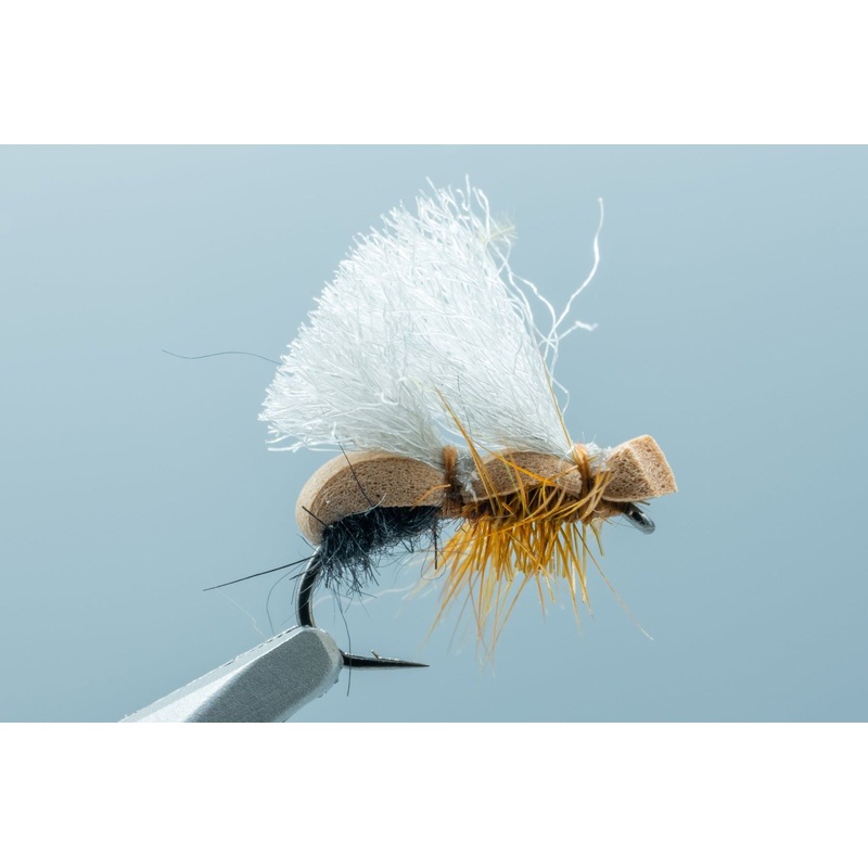 Stubby Ant Freed Blk/Cinnamon #14