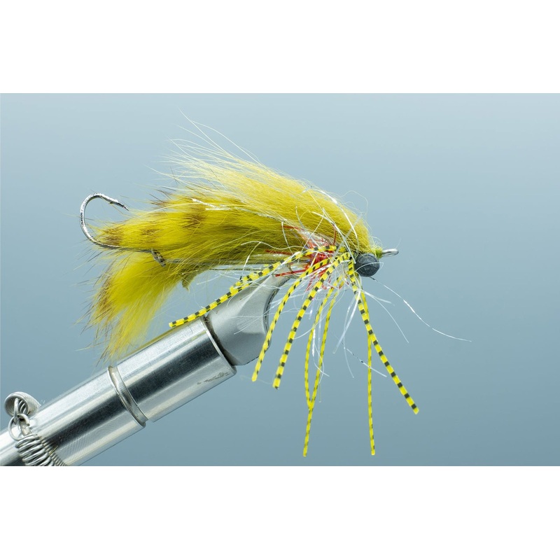 Extrovert Olive #4