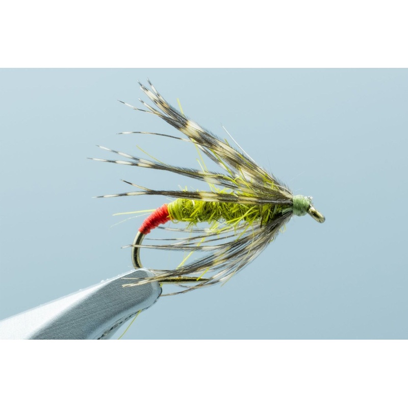 Hot Butt Soft Hackle Olive #14