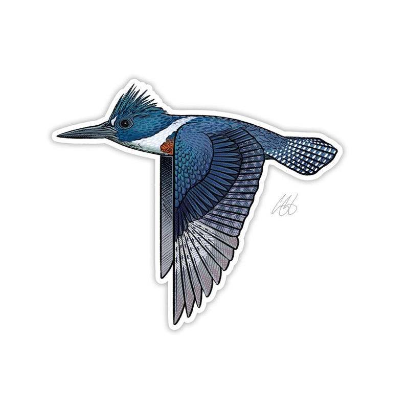 Kingfisher Sticker