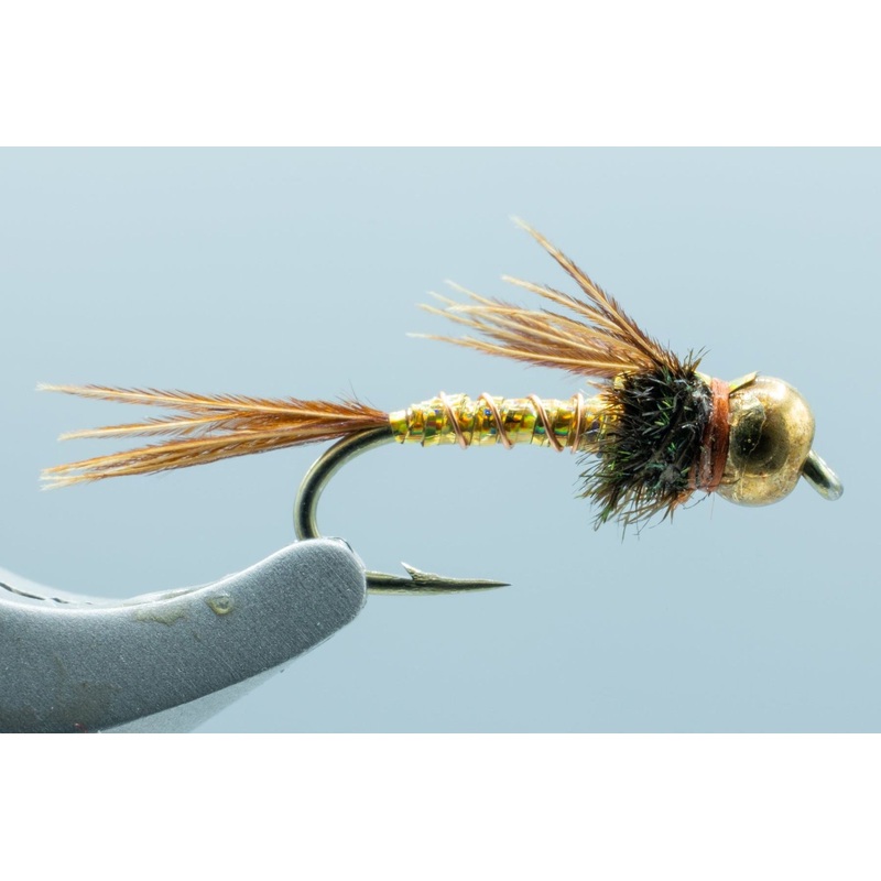 Lightning Bug Gold