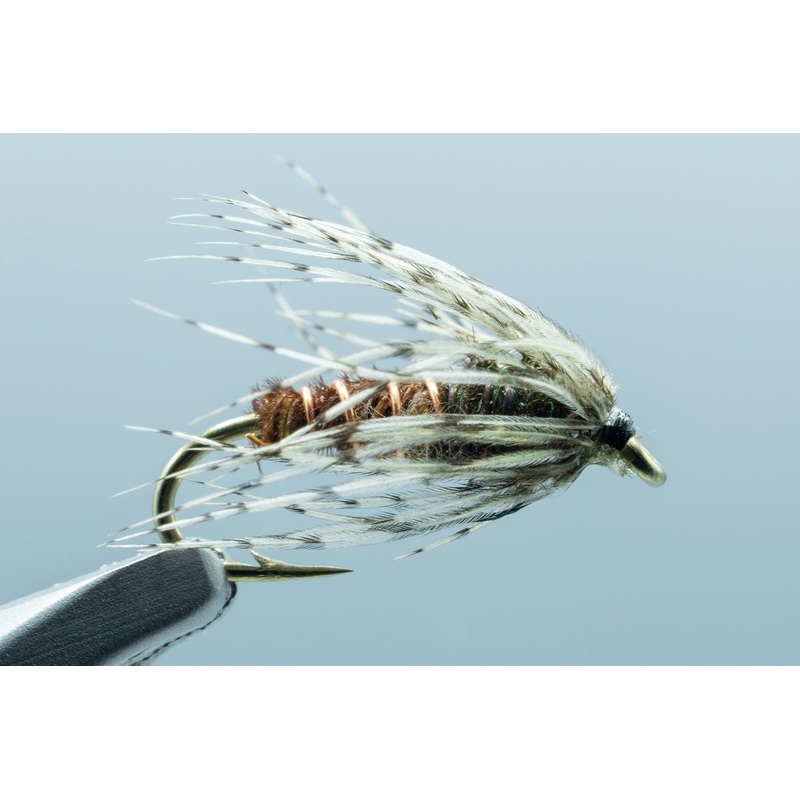Partridge Soft Hackle Pheasant #14