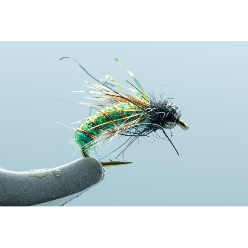 Super Pupa TB Bright Green #16