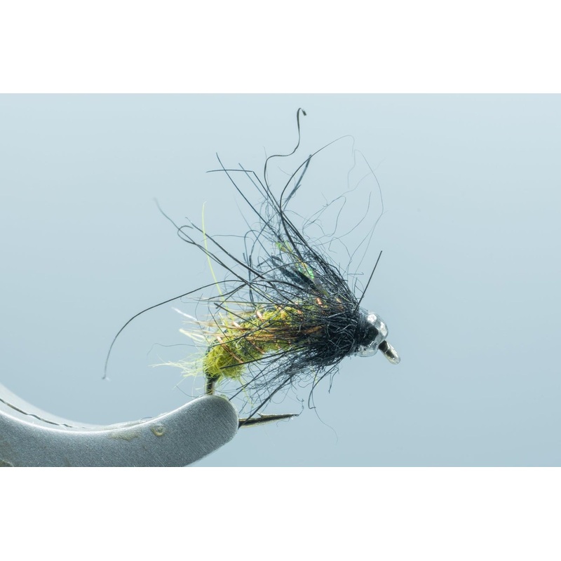 Super Pupa TB Olive #16