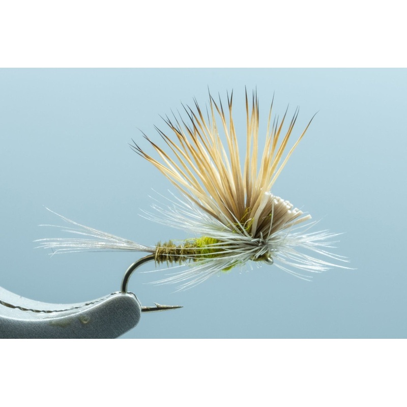 Tilt Wing Dun BWO #18