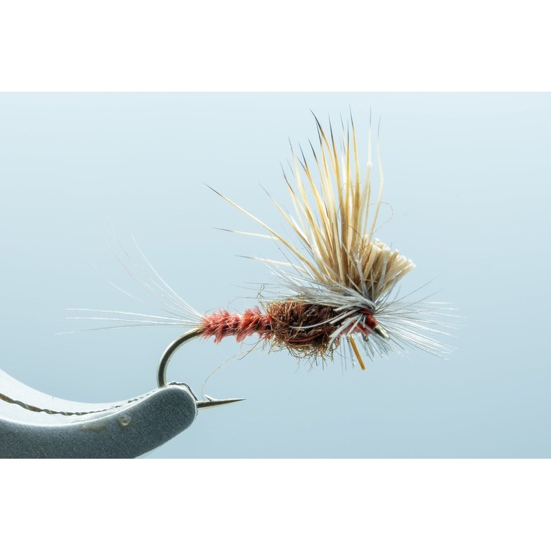 Tilt Wing Dun Mahogany #16