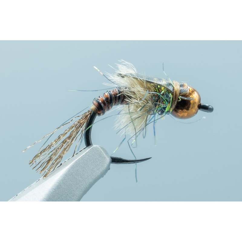 307 Nymph Dark Brown #16