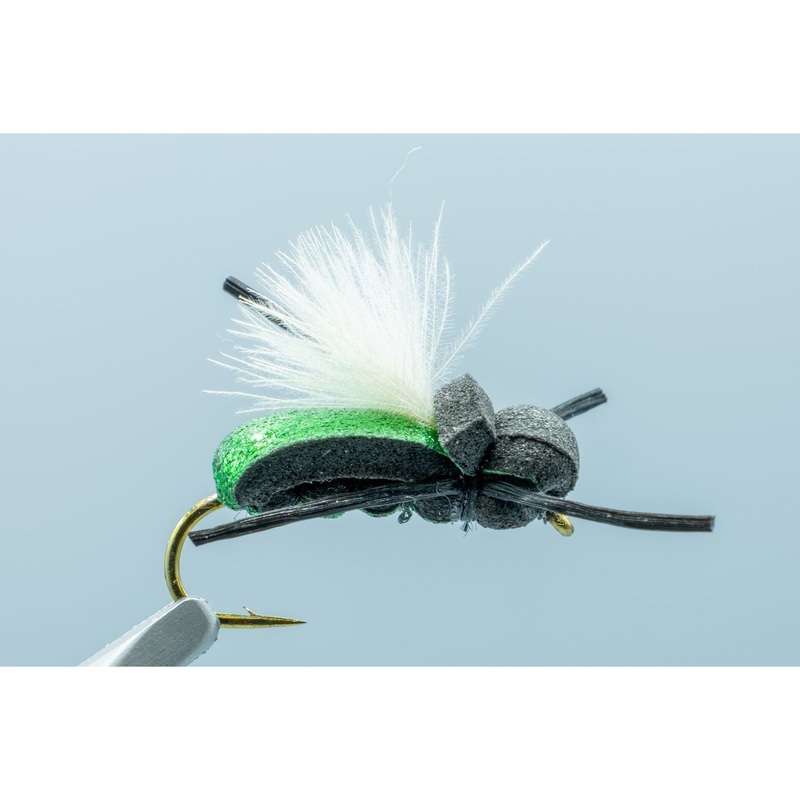 Black Foam Beetle #10