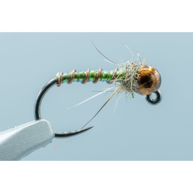 Boroff Brass BH BL Caddis Olive #16
