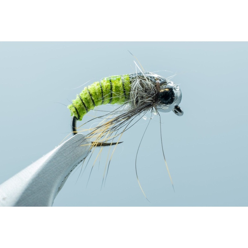 Carwash Caddis Green #16