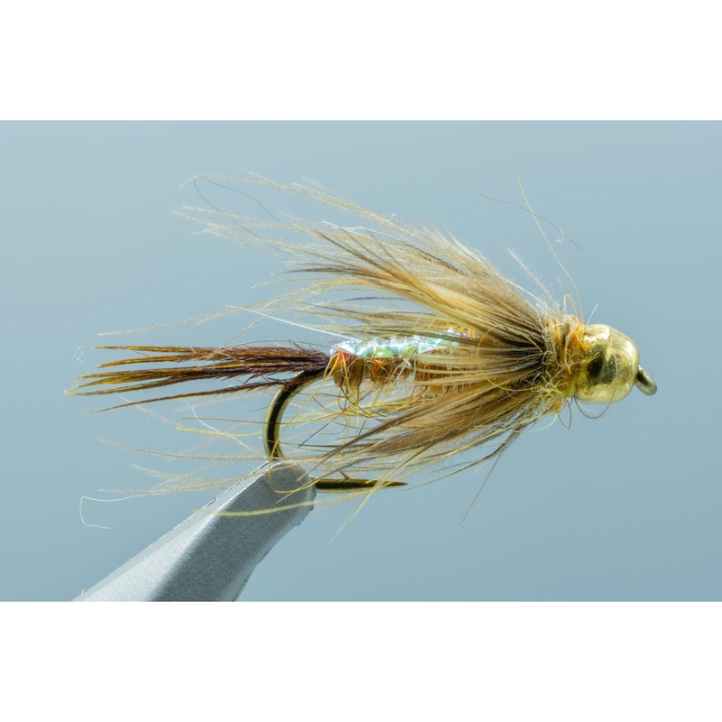CDC Stone Craven Golden #14